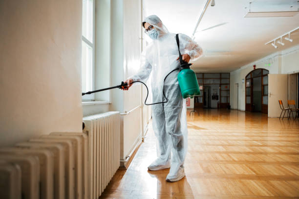 Professional Pest Control in Roosevelt Gardens, FL